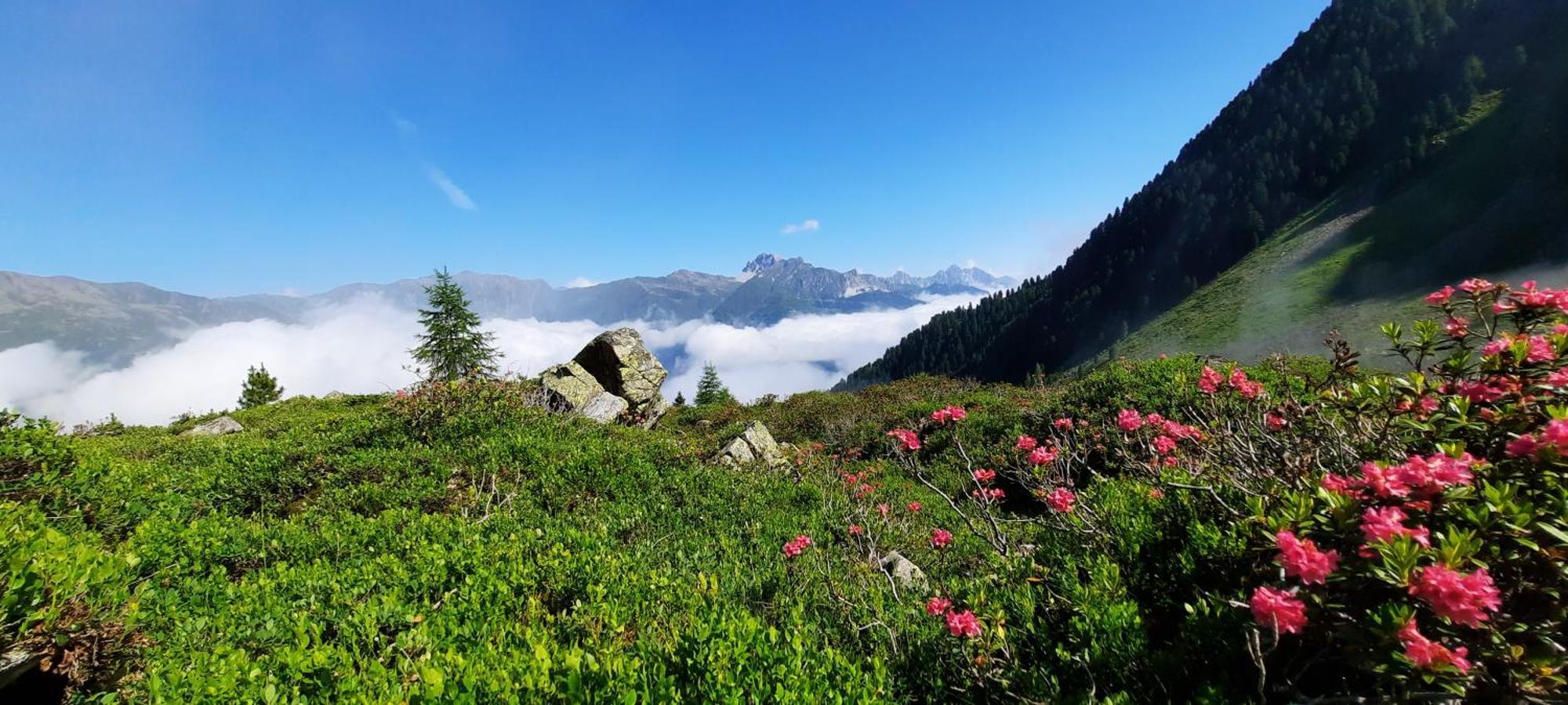 Apartment Peer Neustift im Stubaital Εξωτερικό φωτογραφία